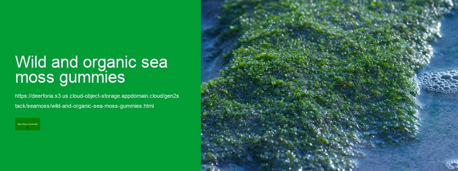 what is sea moss gummies